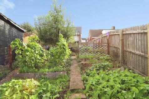 Veggie Garden