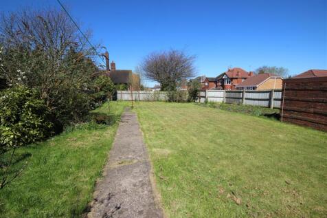 garden.JPG