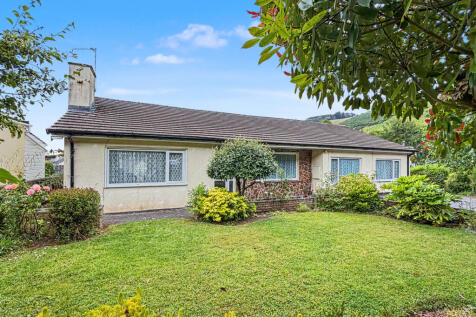 IMG_2223.jpeg