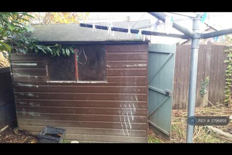 Shed