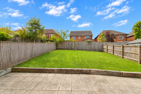 Sunny Suburban Garden with Lawn