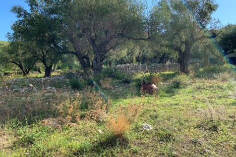 Terrain &amp; landscape