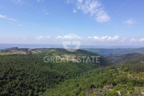 Panorama e Particolari