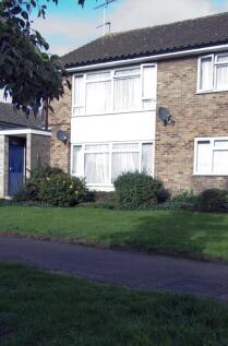 External