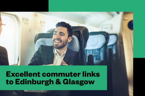 pinefields, livingston