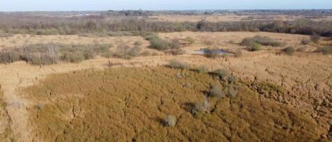 copy DJI_0893.JPG