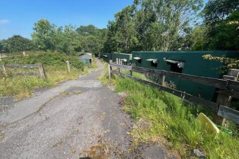 Image003 T202407151224.jpg