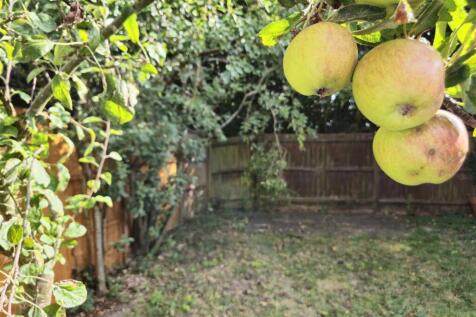 Private Rear Garden