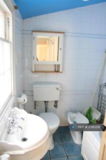Bathroom (Downstairs) 