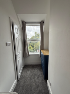 Beverley Road, Hull photo 4