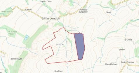 Land plan Moelart, Llandinam.jpg