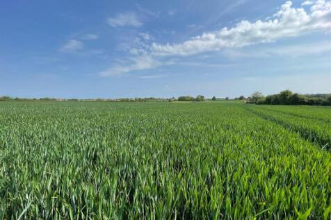 Land for sale Image 3