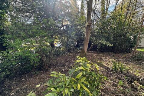 Farm Land for sale Image 9
