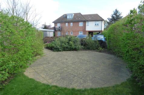 garden.jpeg