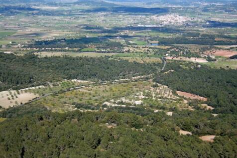 Algaida Countryside 