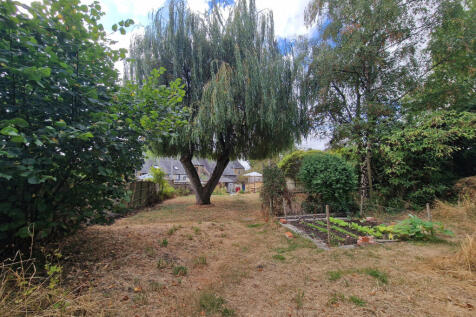Rear Garden-middle section