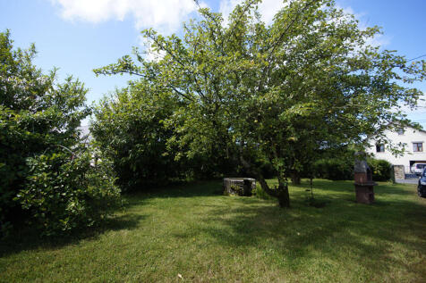 Image 13