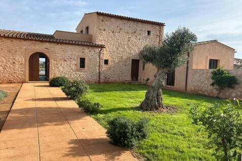 WhatsApp Image 2024-12-12 at 16.03.45 (1)