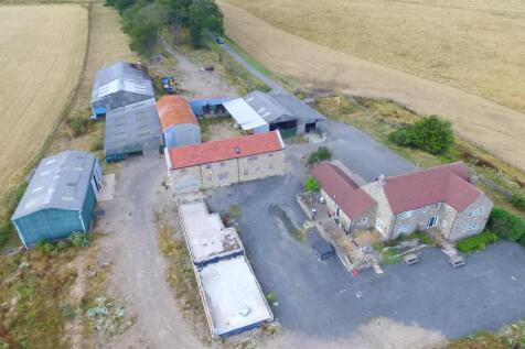 DJI_0440.JPG