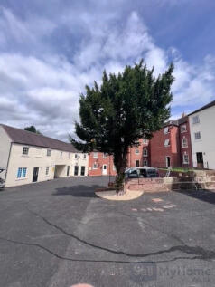 Rear Yard.jpg