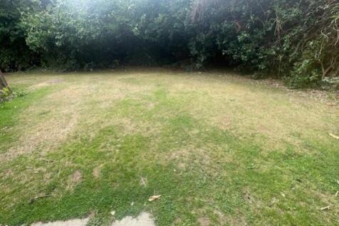 back garden