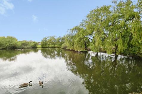 pbox-IMG.jpg