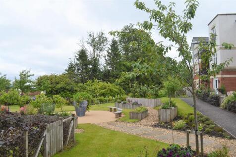 Communal Garden