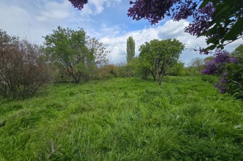 Property Image 67