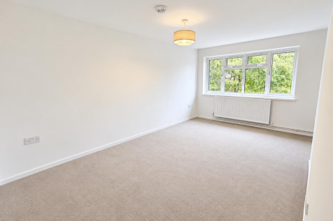 Bright Neutral Empty Room.png