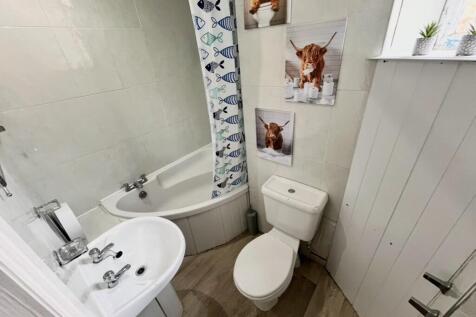image1 (1)