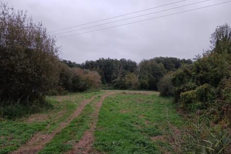 Photo 38
