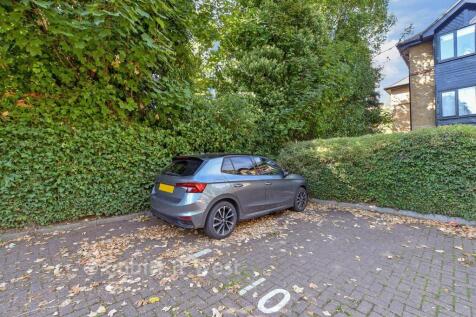 Driveway/Parking