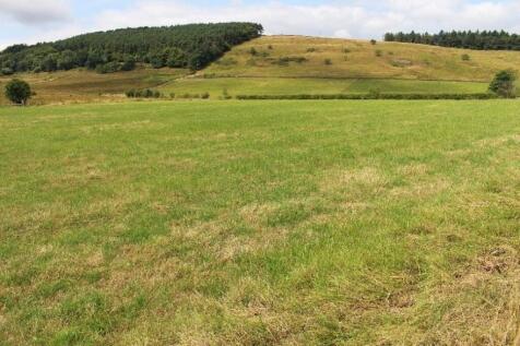 Farm Land for sale Image 6