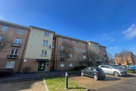 IMG 3760 T202603040952.jpeg