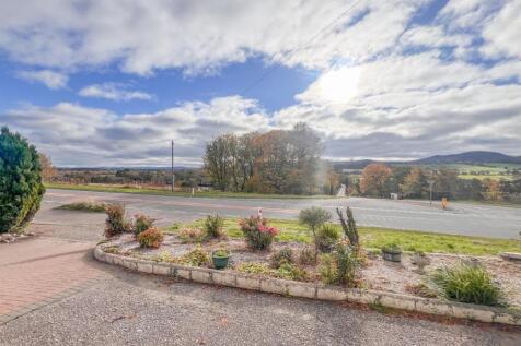 FRONT GARDEN.jpg