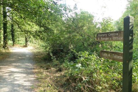 Property Image 29