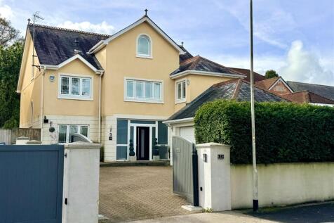 IMG_6987.jpeg