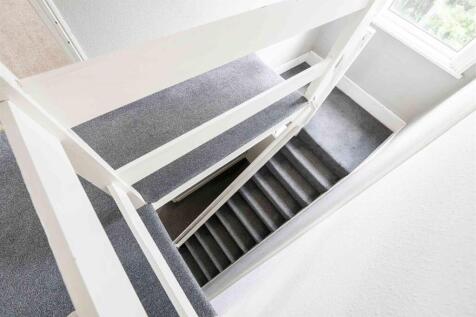 Pav P Shoot 1 -0764.jpg