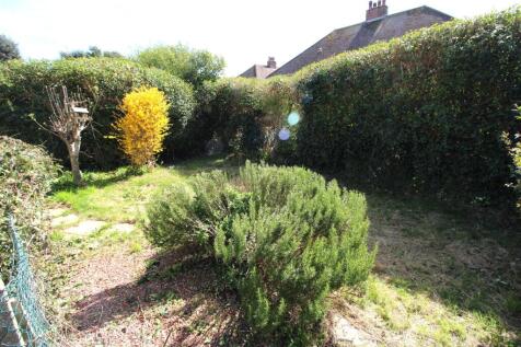Garden pic.jpg