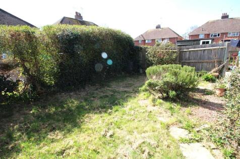 Garden pic 2.jpg