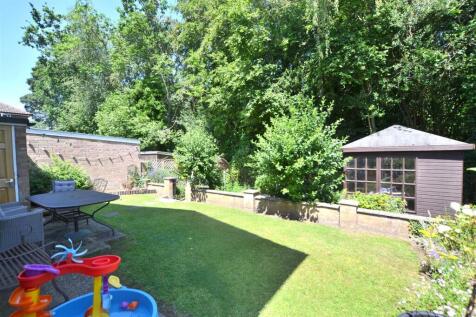 Garden.JPG