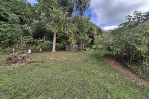 Entrance To Woodland
