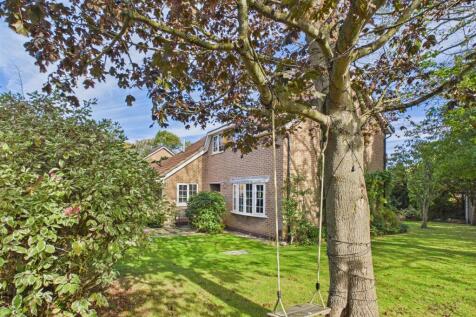 Property Image 39