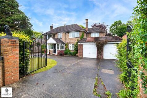 Picture No. 31