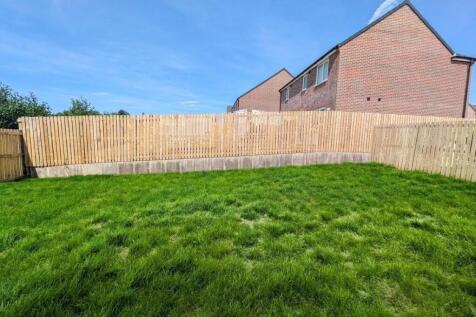 Back garden 2