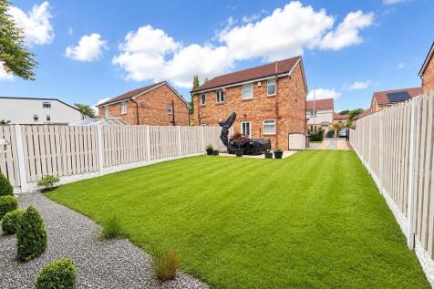 Back garden