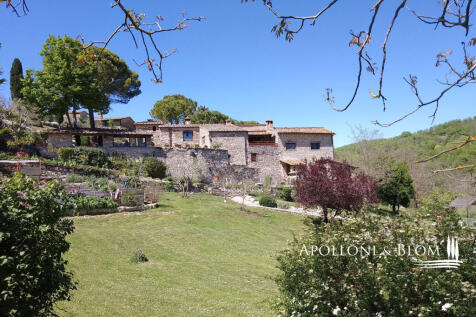 CNT2342_3045 copia