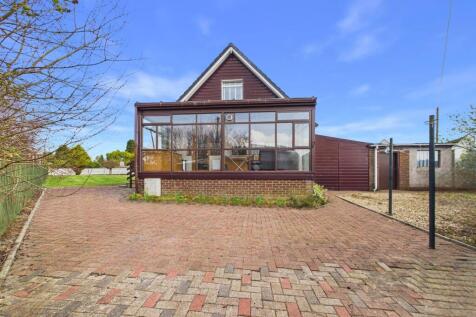 Back Garden