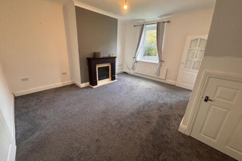 Robinson Terrace, Hobson, Newcastle upon Tyne, Durham, NE16 6EG photo 3