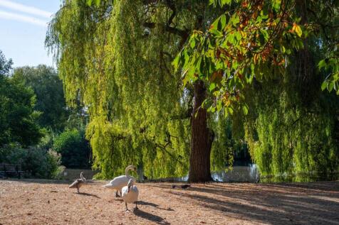 Ham Common